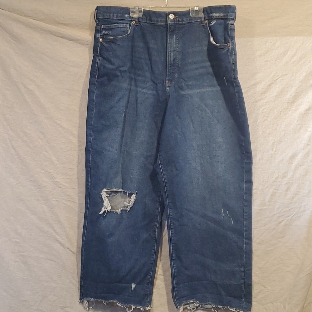 Express High Rise Jeans SZ 18/S
